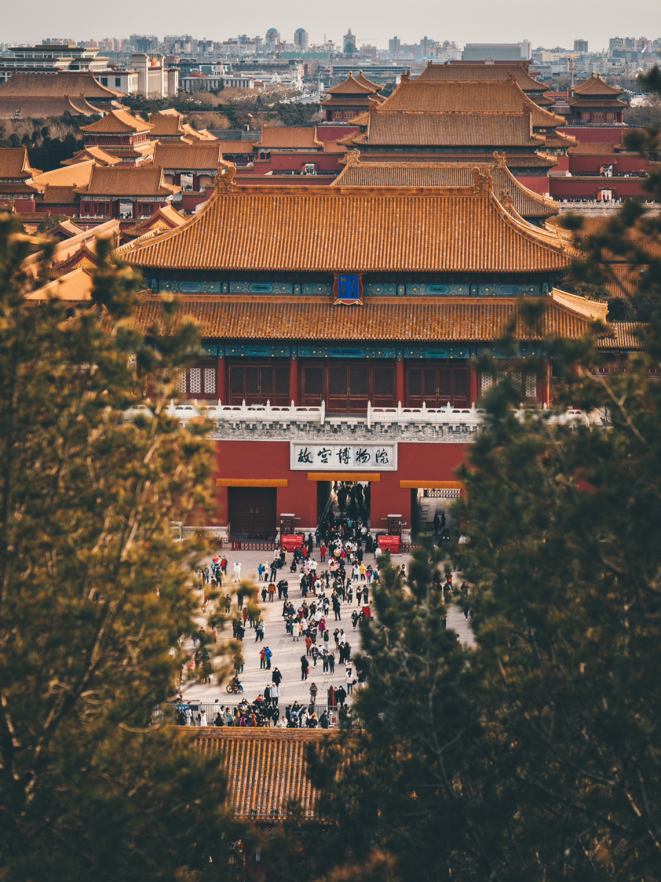 我看到的 vs 我拍到的/故宫原来张这样 景山公园 里拍故宫博物馆,视角