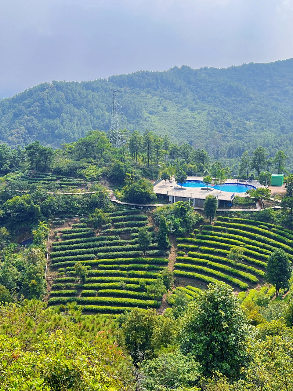广佛周边游,佛山7415江门茶山一日游 99佛山一99茶山星湖