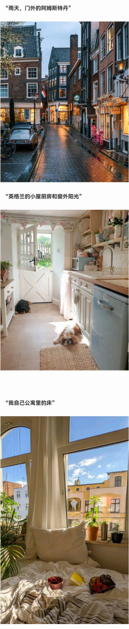 在reddit上的cozy place板块,大家会分享让自己感到舒服的角落,看完真