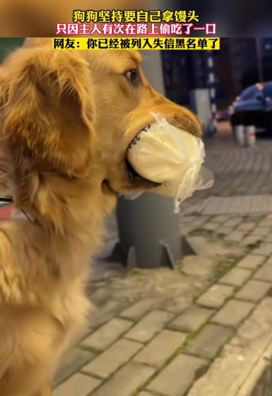 网友:你已经被列入失信黑名单了 #趣图搞笑