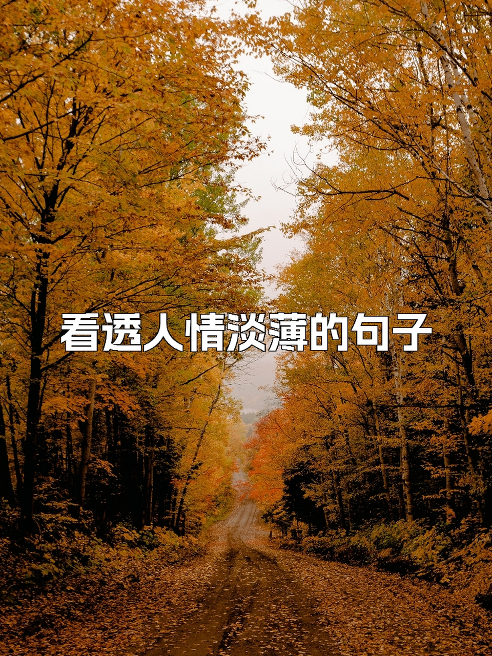 看透人情淡薄的句子