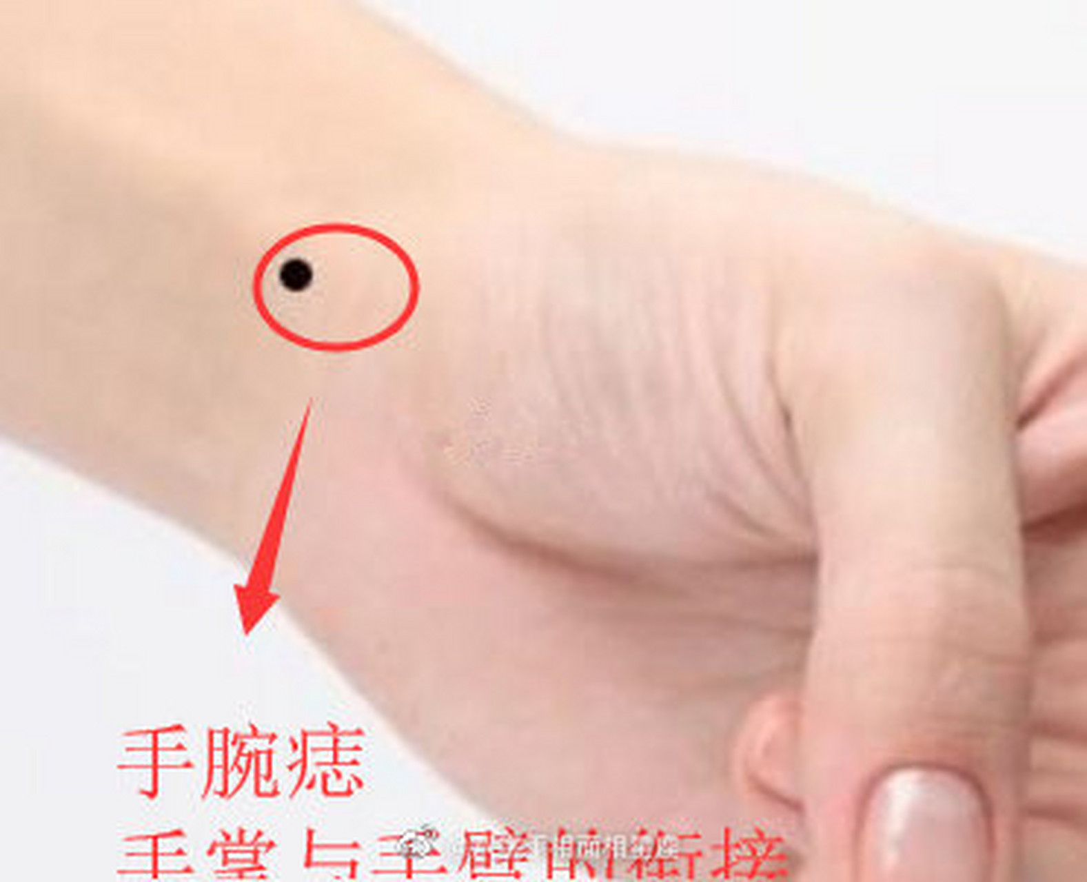 在位于手中手掌与手臂的连接位置生痣,这样一种自身某项能力突出的