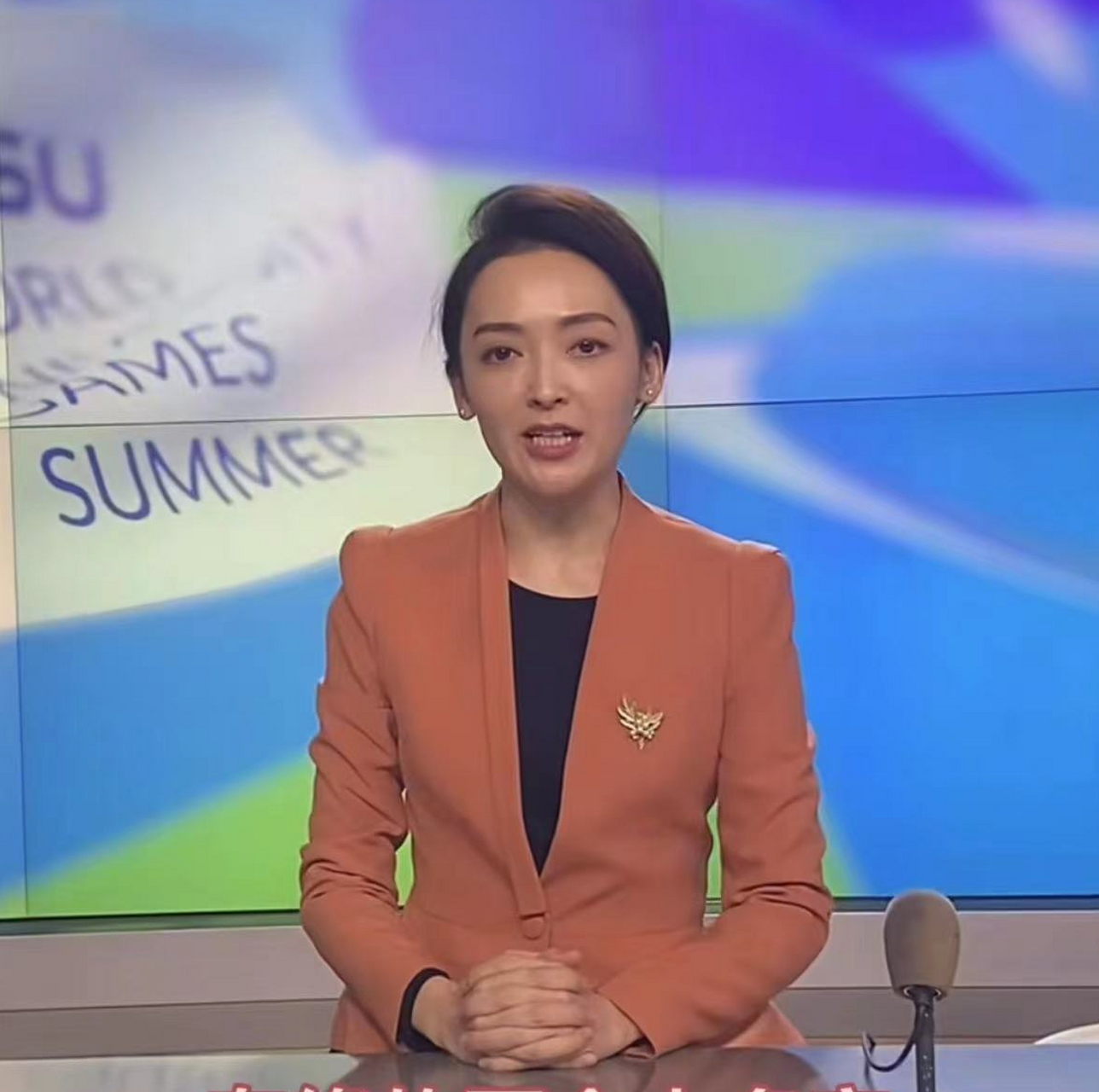 卫视美女主持刘羊漾新年失业!