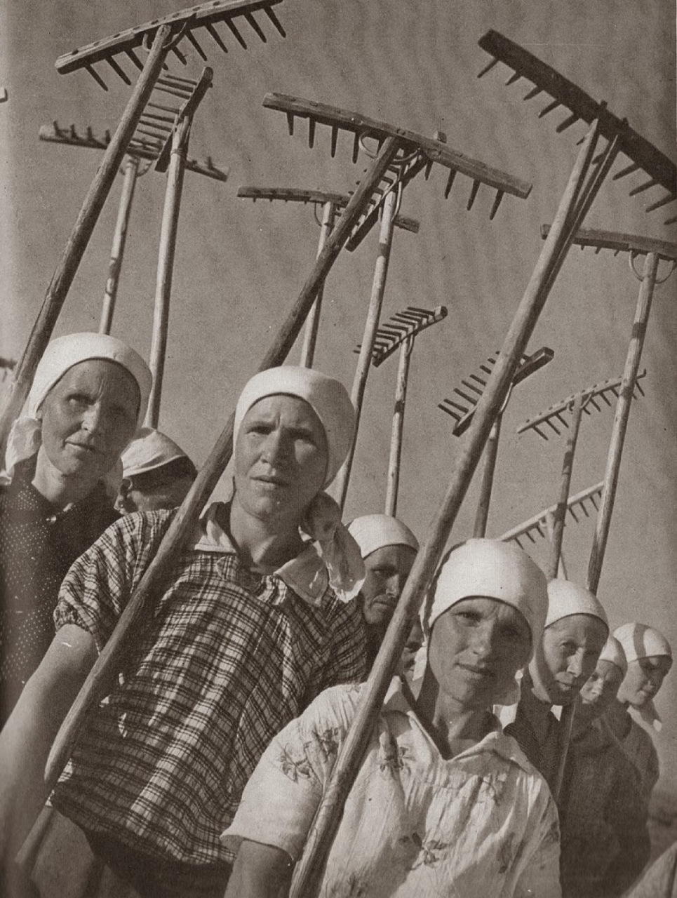 苏联民兵网站建设情况调查_(苏联民兵网站建设情况调查表)