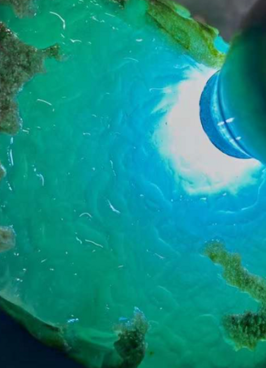 点击头像看直播##翡翠原石#178克南齐冰种老蓝水明料,肉细种老,现在