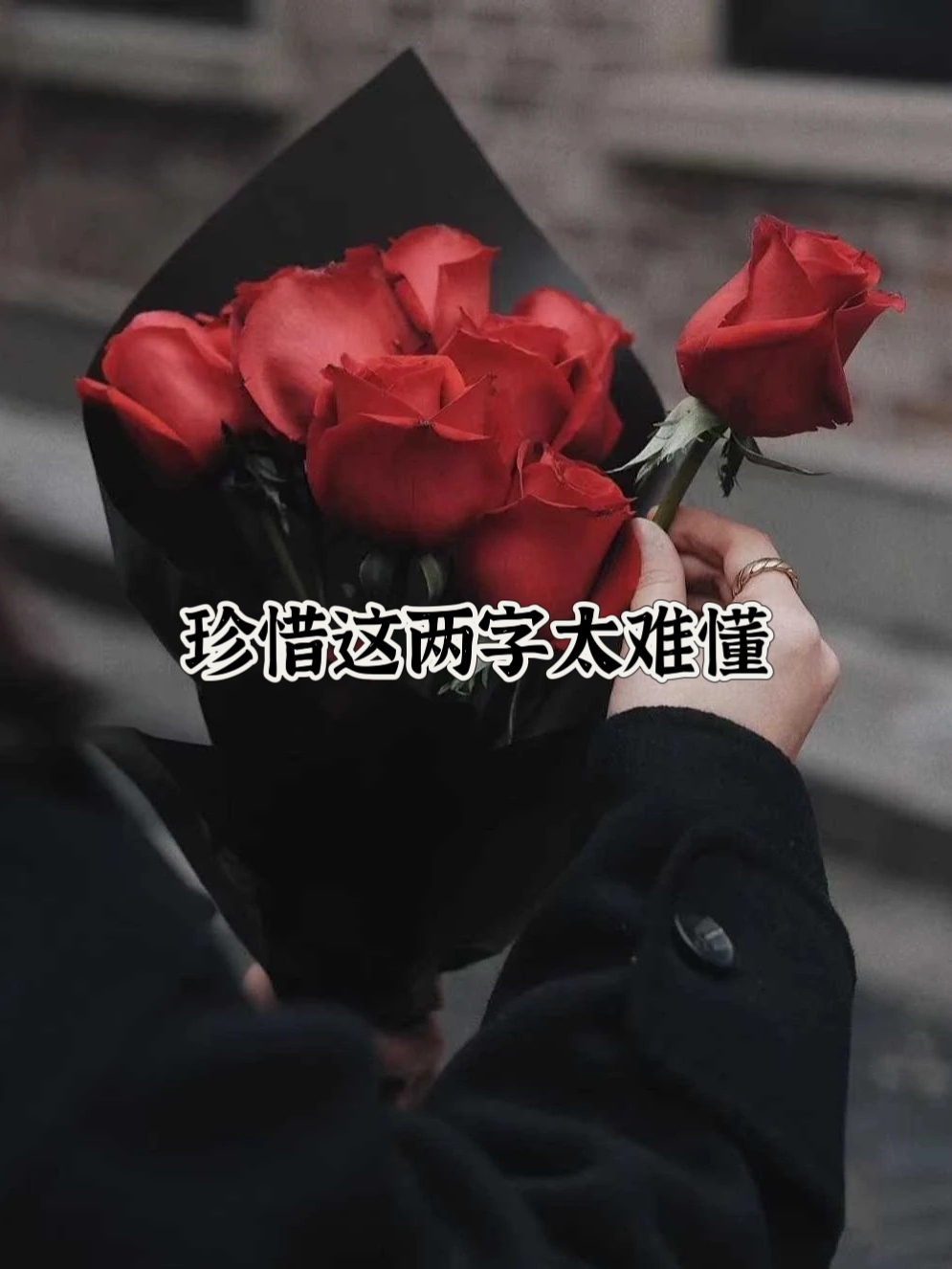 珍惜这两字太难懂 无需再去质疑什么,态度已说明一切