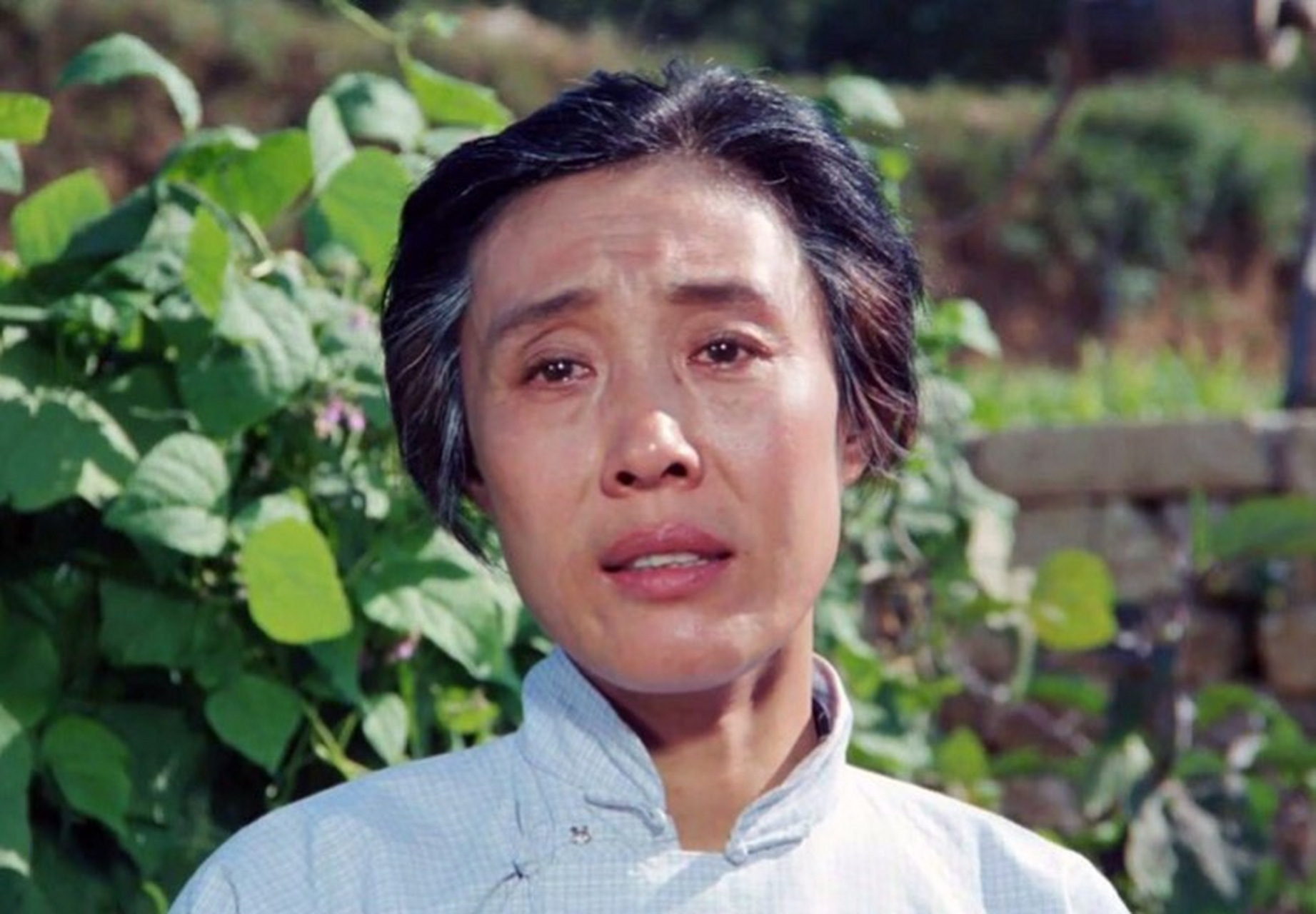 演员王玉梅去世#著名表演艺术家王玉梅因病于4月13日20时50分在北京