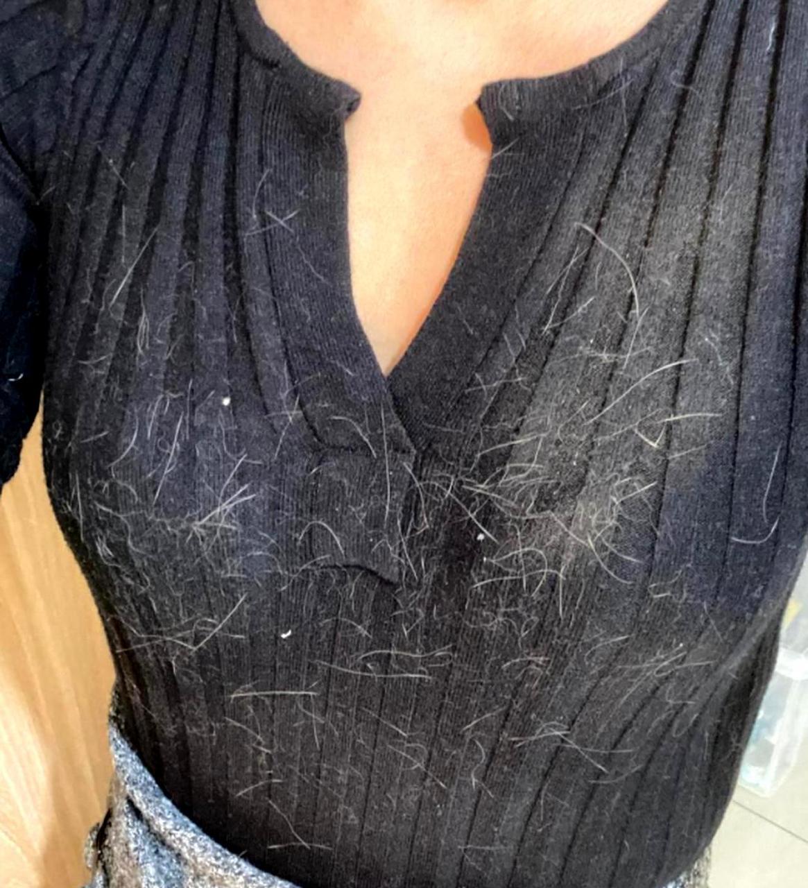 养了猫之后就不能穿黑色衣服,因为很容易被猫毛弄得满身都是.