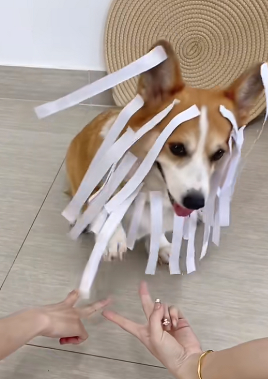 剪刀石头布,愿赌服输