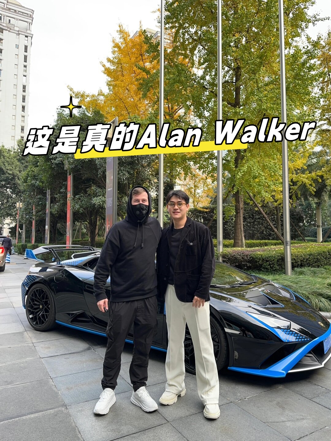 这是真的alan walker