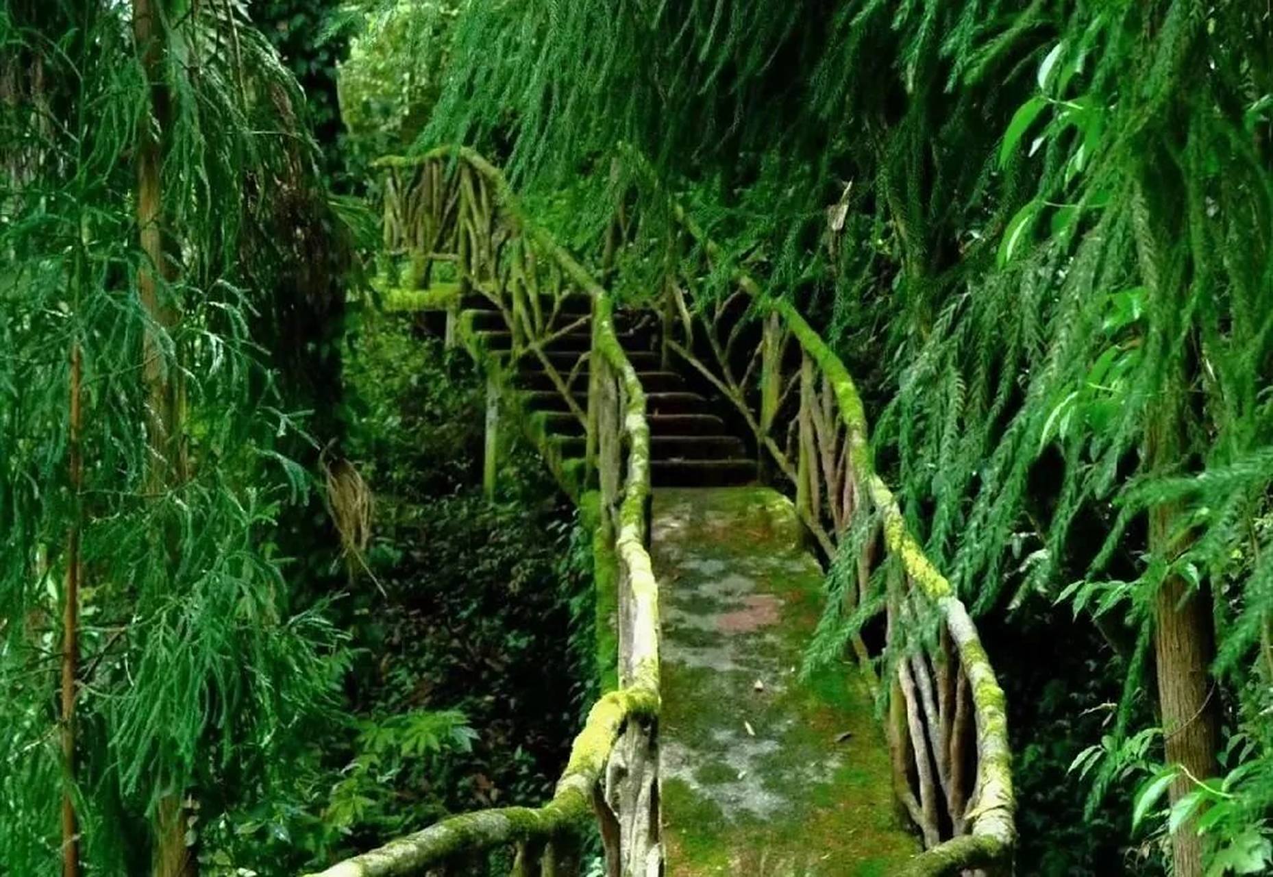 德阳什邡红峡谷,这里是矿泉水之乡.  来到这里,你可以玩水,漂流,徒步.