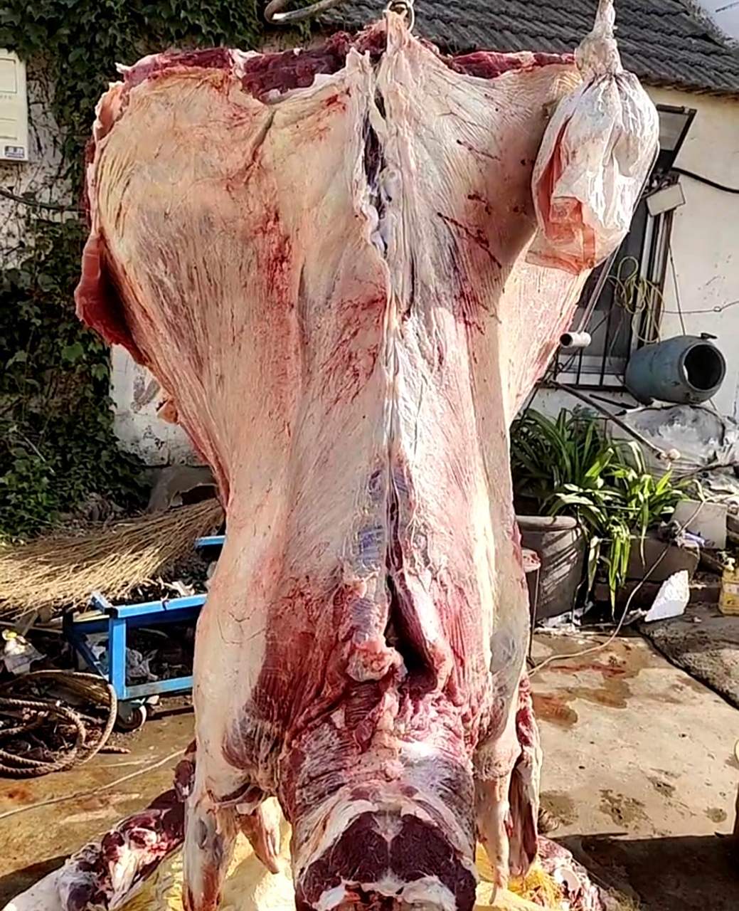 请问这种优质的大牛肉每斤要卖多少钱呢?