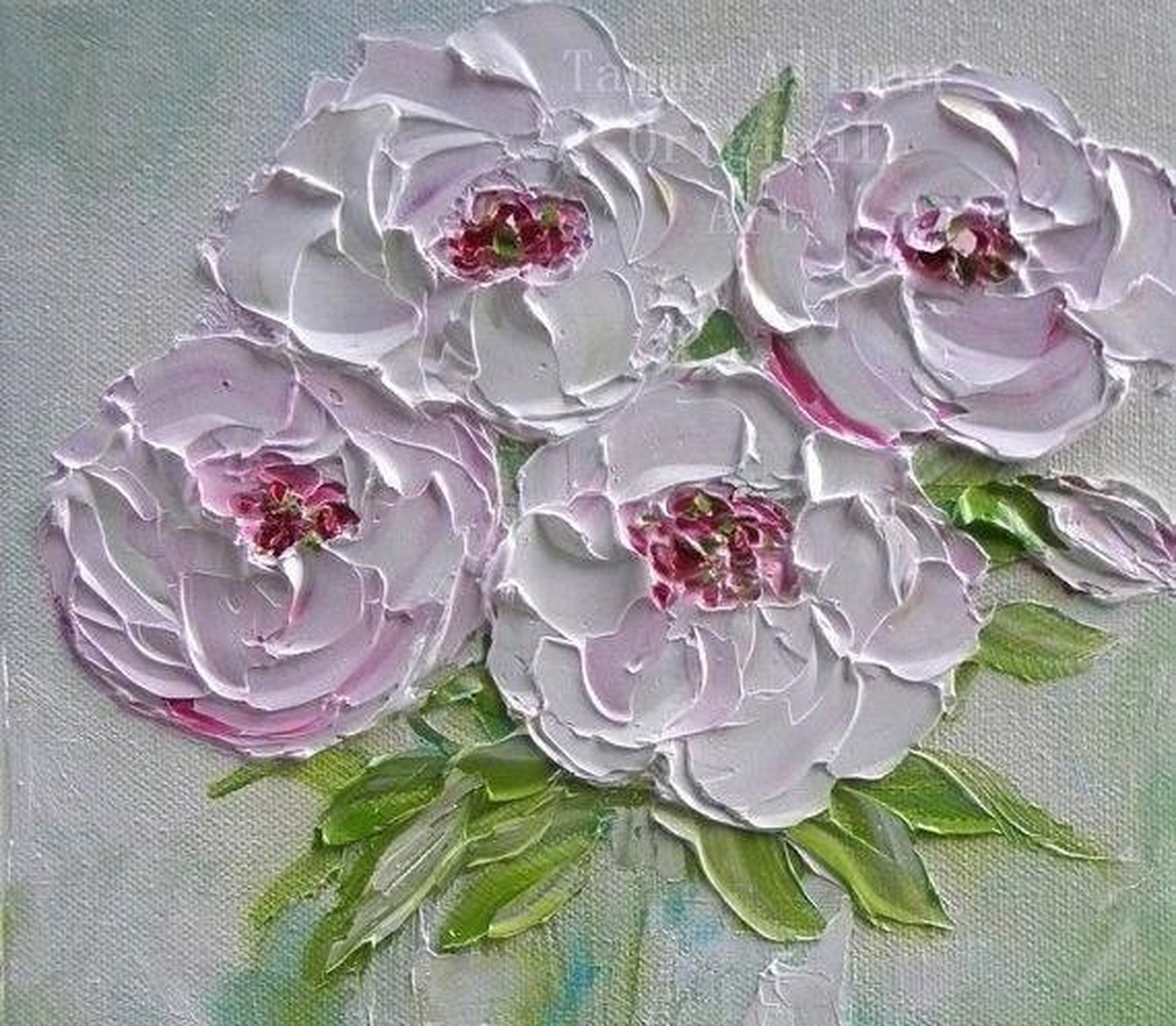 刮画小清新风植物花卉,真的好美