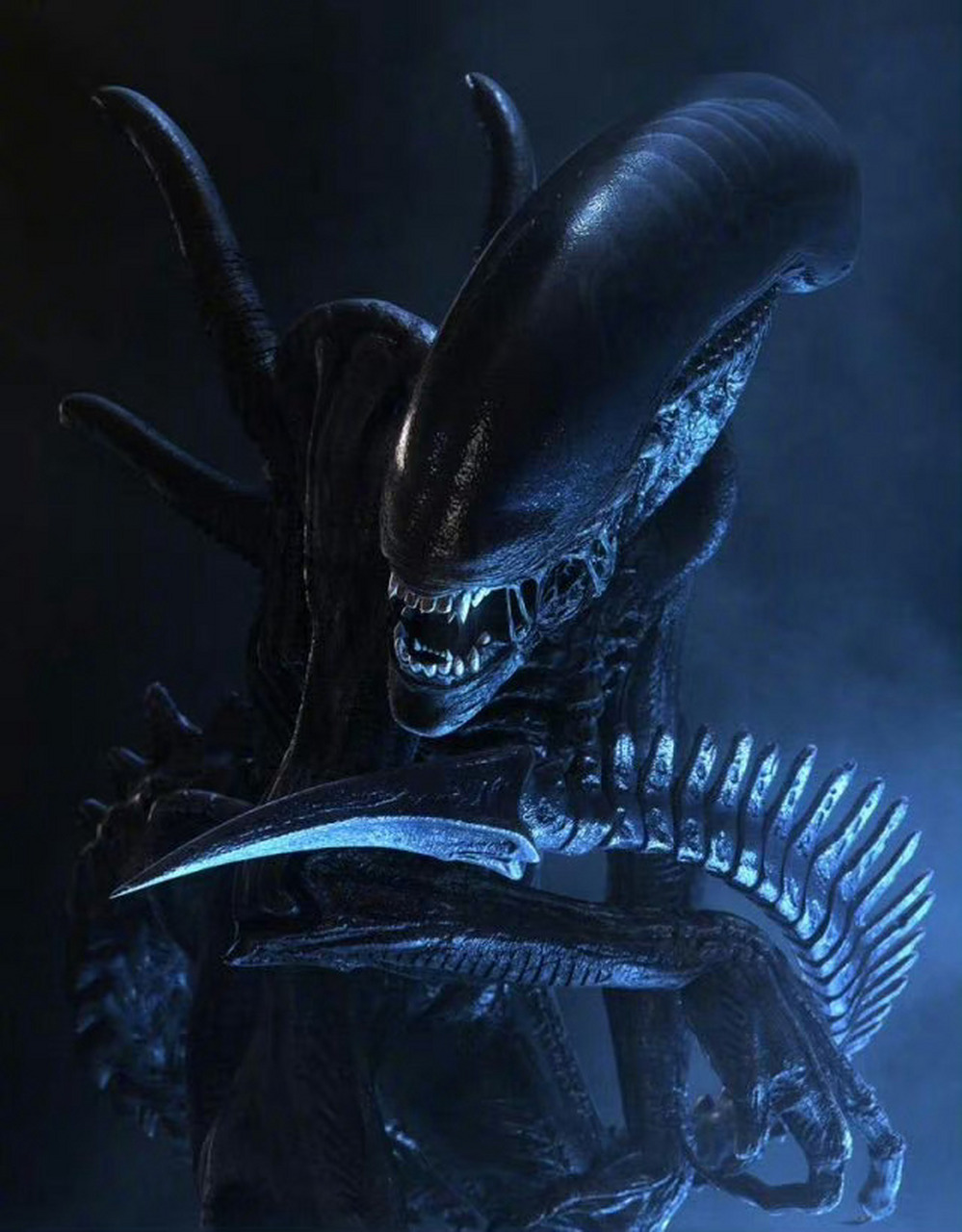 新一部《异形》电影宣布杀青,将于明年8月16日北美上映.