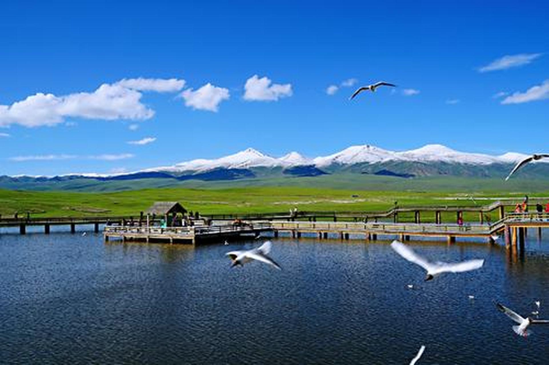 伊犁天鹅湖位于新疆维吾尔自治区伊犁哈萨克自治州伊宁县英塔木乡夏合