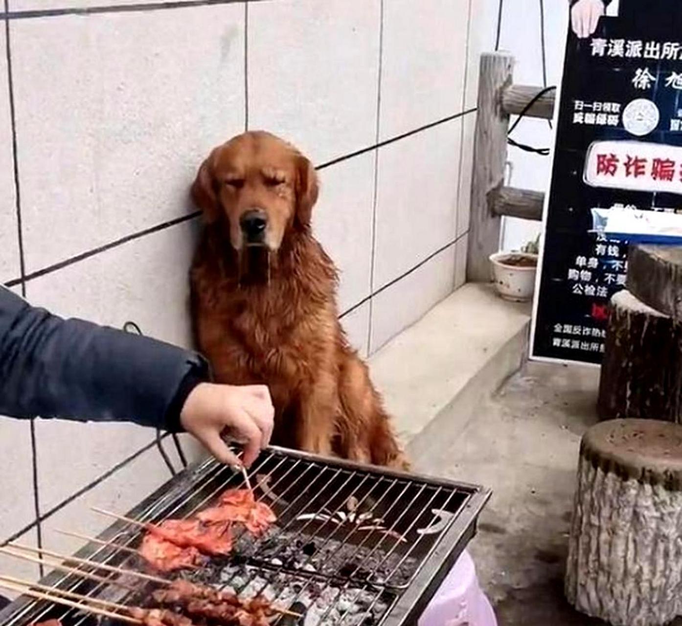 烤兔子表情包图片