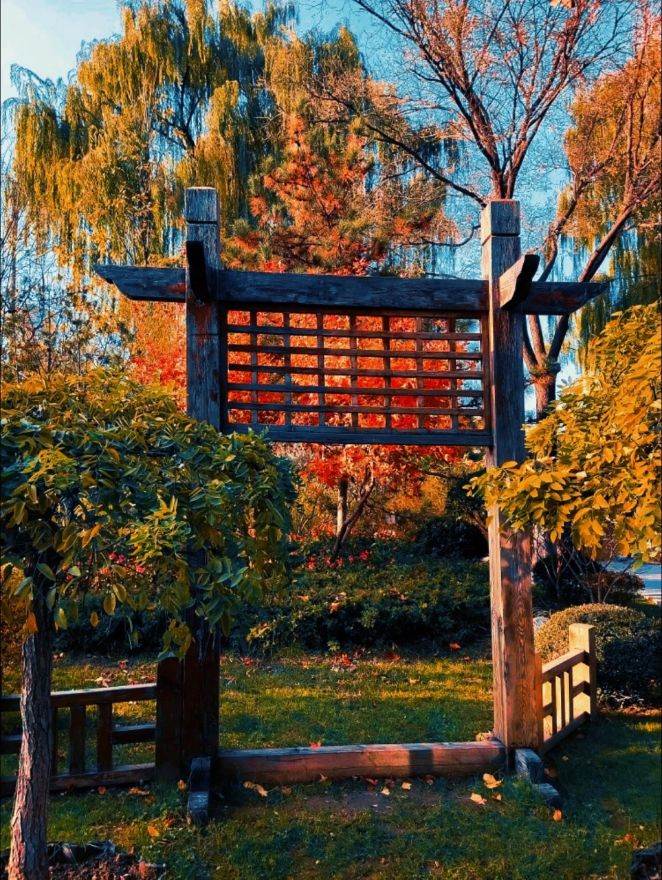 太原傅山碑林公园小众赏秋地  太原傅山碑林公园,一片静谧的秋色等待