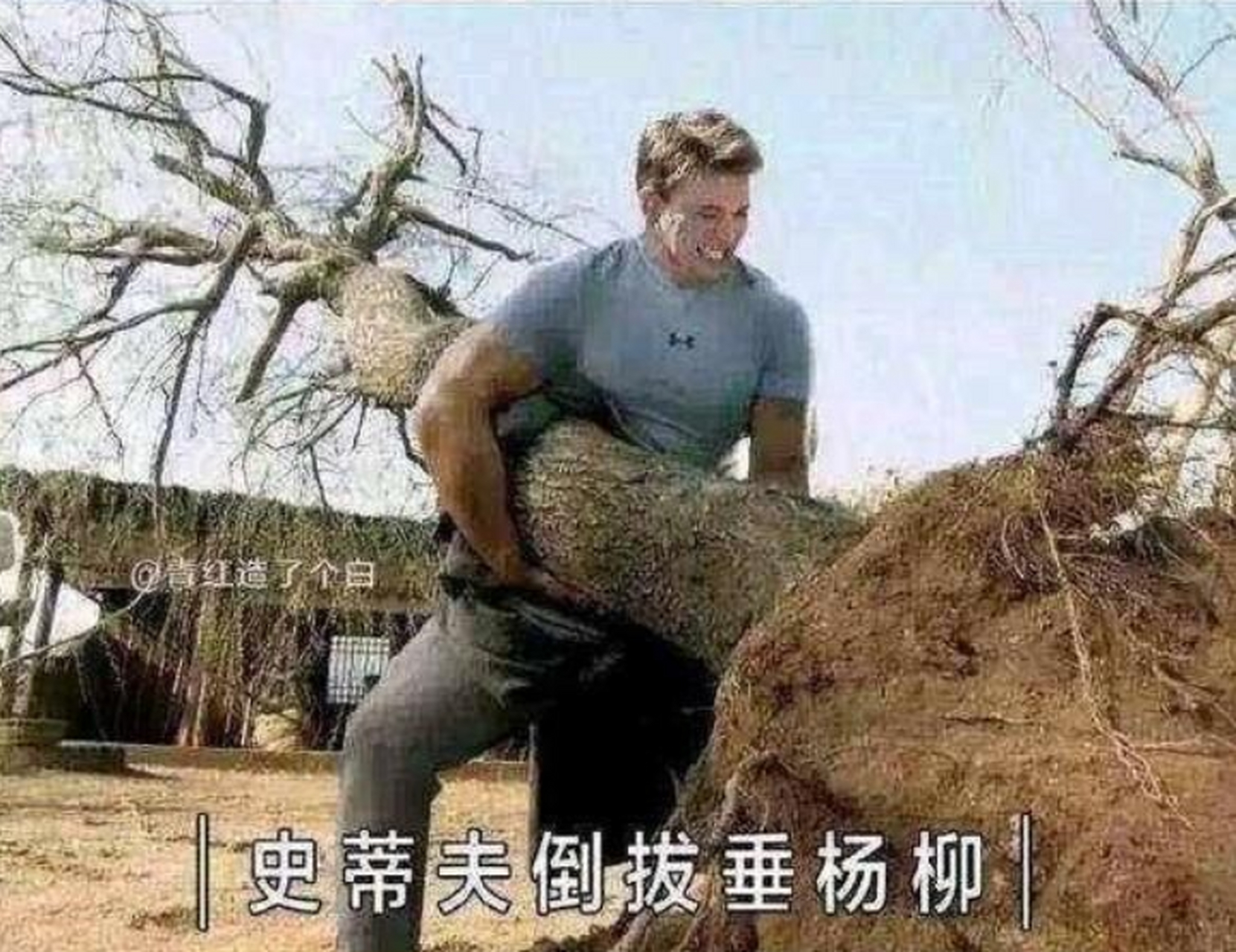 青红造了个孽:史蒂夫倒拔垂杨柳.