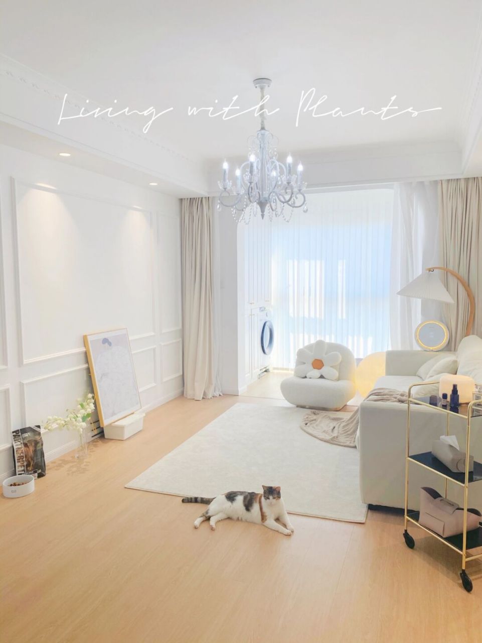 哈喽大家好我是cici冉冉酱  很多人都问我你全包6万2怎么装的,质量