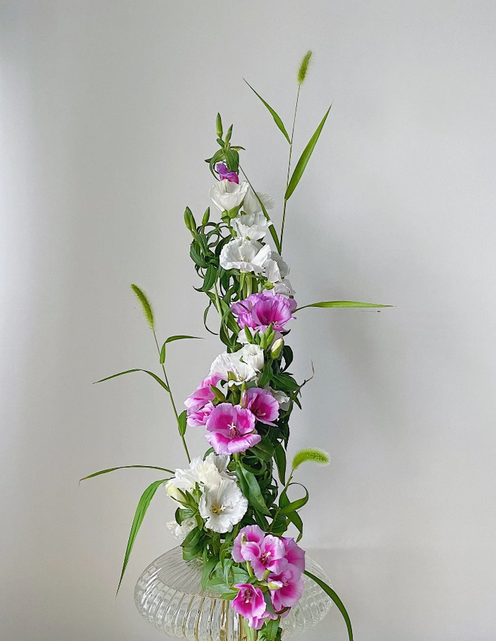 狗尾巴草与古代稀的陪伴时光 在日常生活中,插花是一种简单而美好的