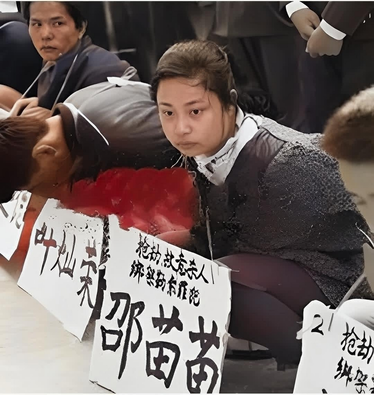 1995年,曾经的散打冠军·乔立夫和邵苗苗即将被处决,因为她走上了一条