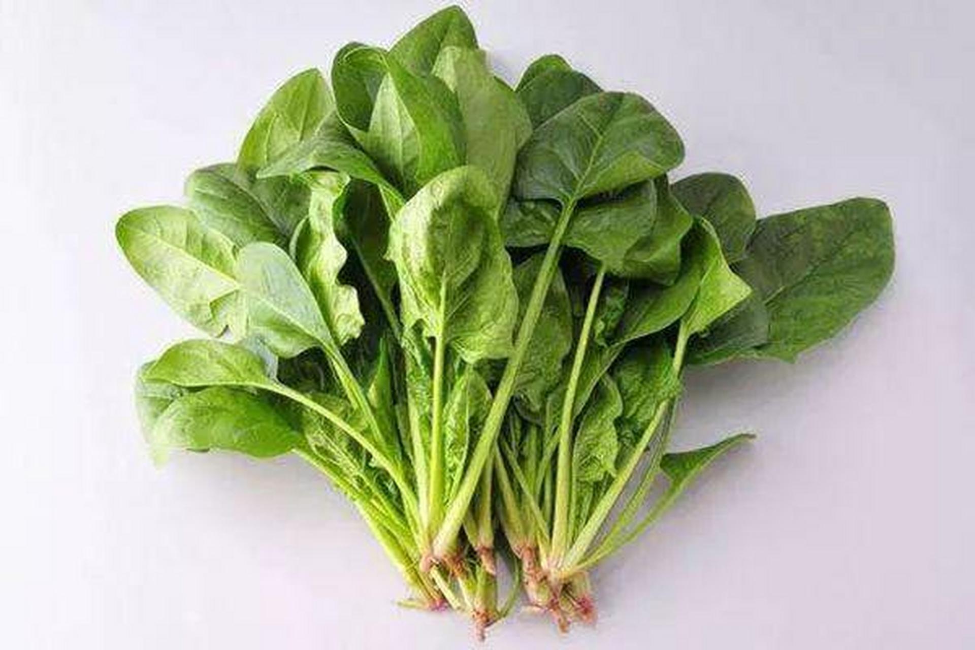 菠菜:丰富的叶绿素和多种维生素,扩张血管,降低血压; 芹菜:富含纤维