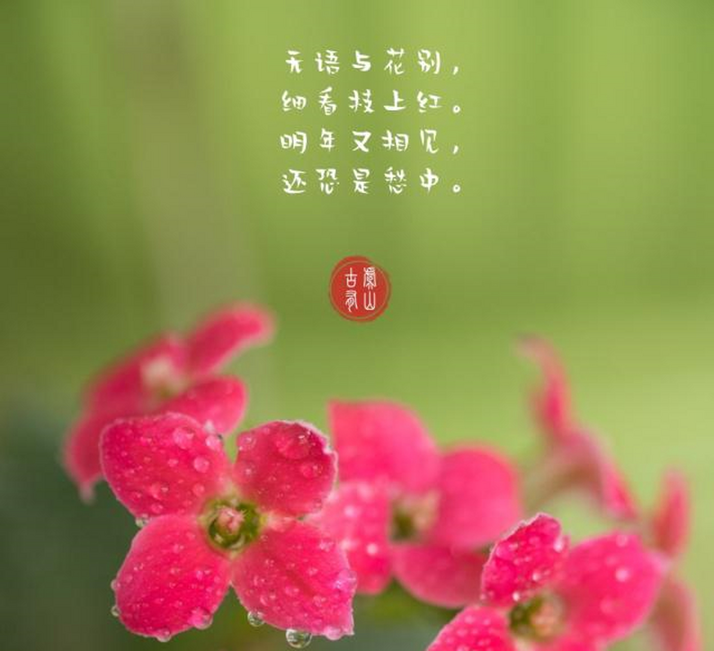 美图配美文,画意惹人醉