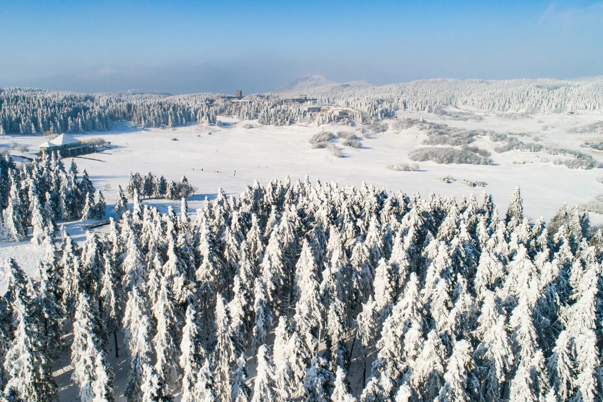 仙女山国家森林公园是国家5a级景区,位于重庆市武隆区境内乌江北岸,距