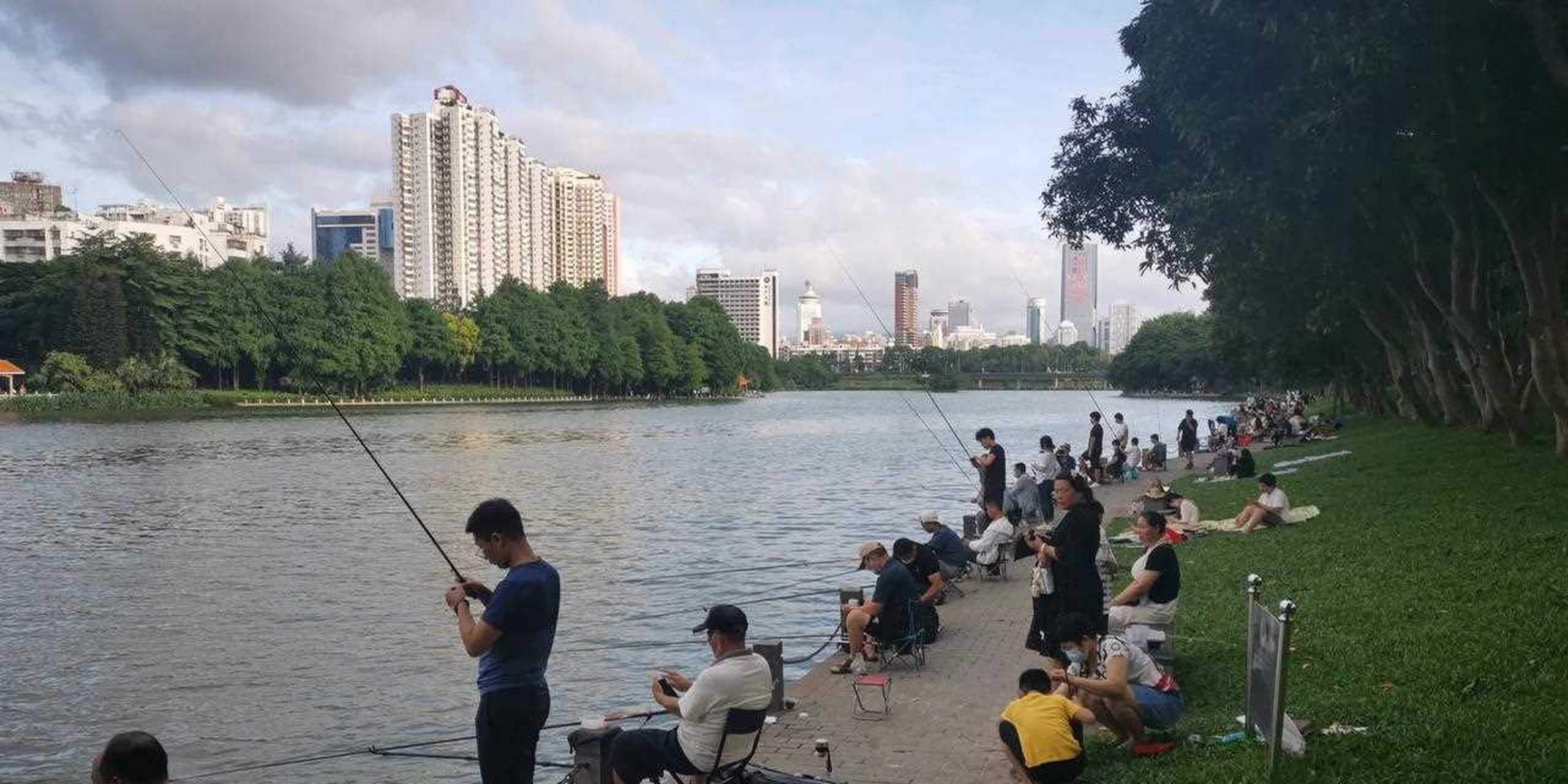 这里可能是深圳最适合钓鱼的地方!
