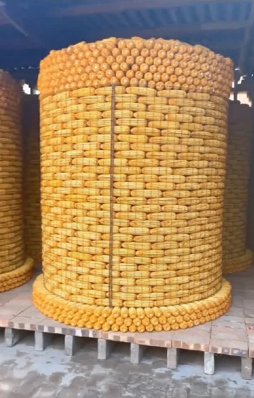 老兄,能像这样堆玉米真是一门艺术[尬笑]