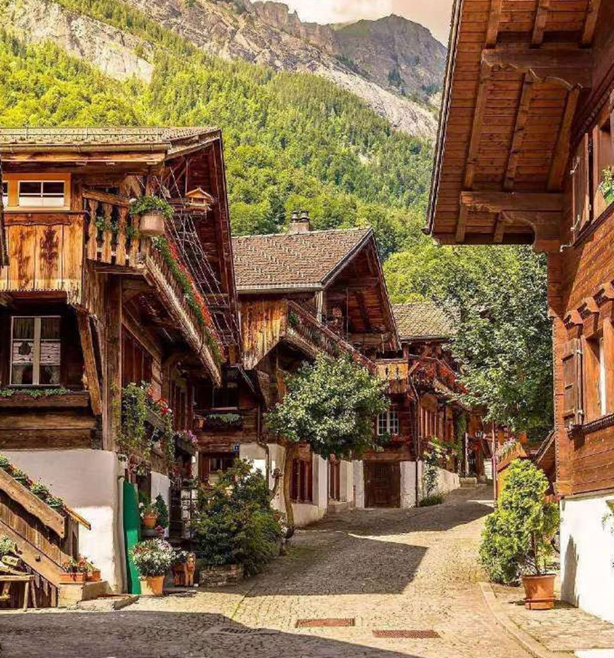 我不是神,我是人,我也会有自己的小情绪,我只是很烦心,想发泄一下,不