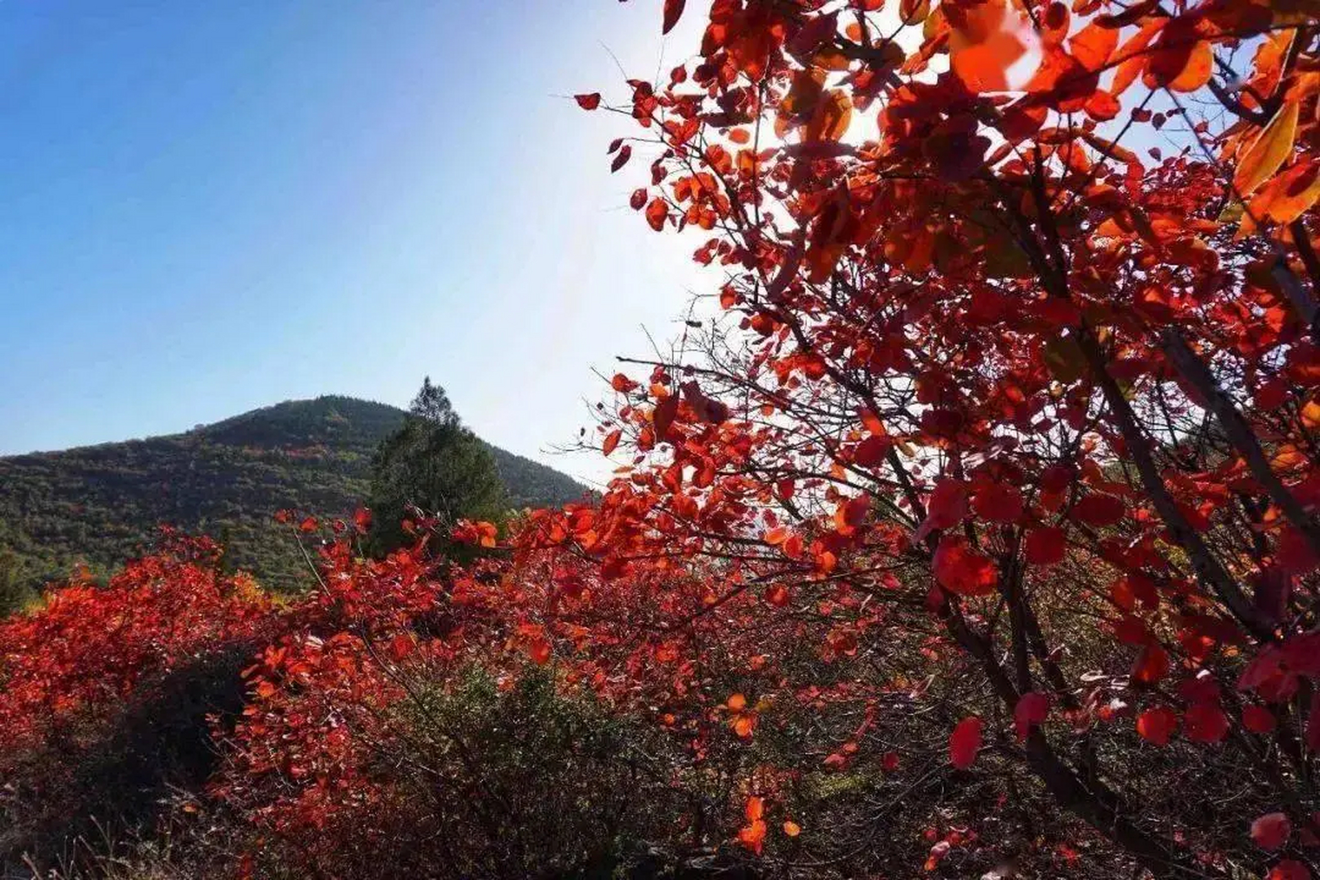 荥阳免费景区景点大全图片