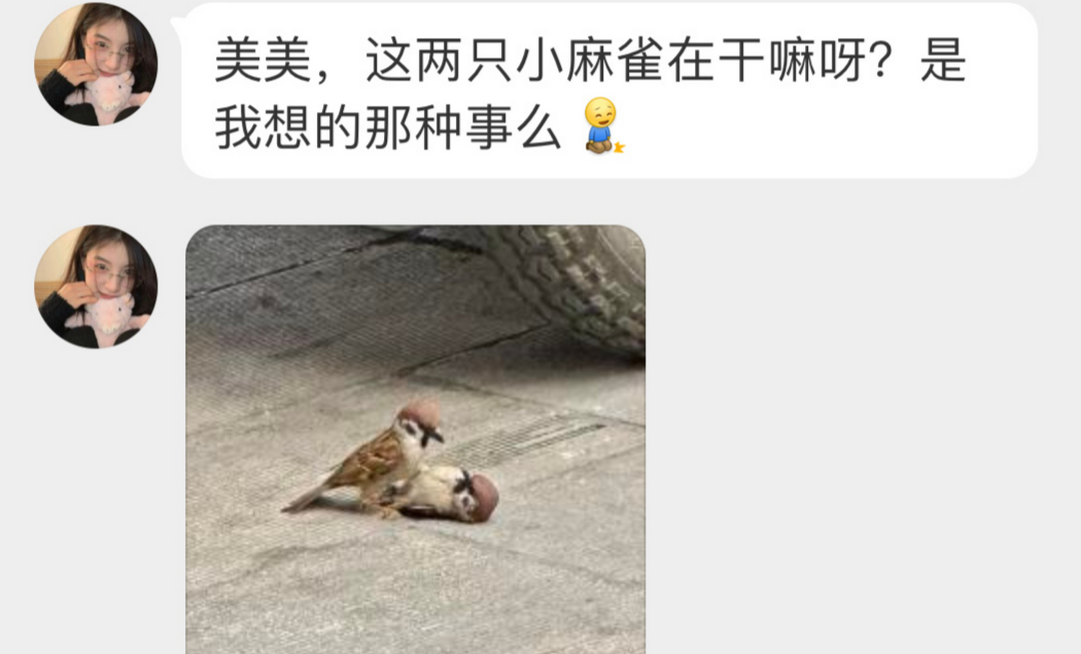 这两只小麻雀在干嘛?真的是在单纯打架吗?#趣图搞笑# #动物趣图