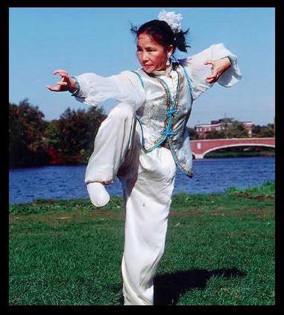 甄子丹的母亲是太极名师麦宝婵,美国第一代中国现代武术教练,是美国