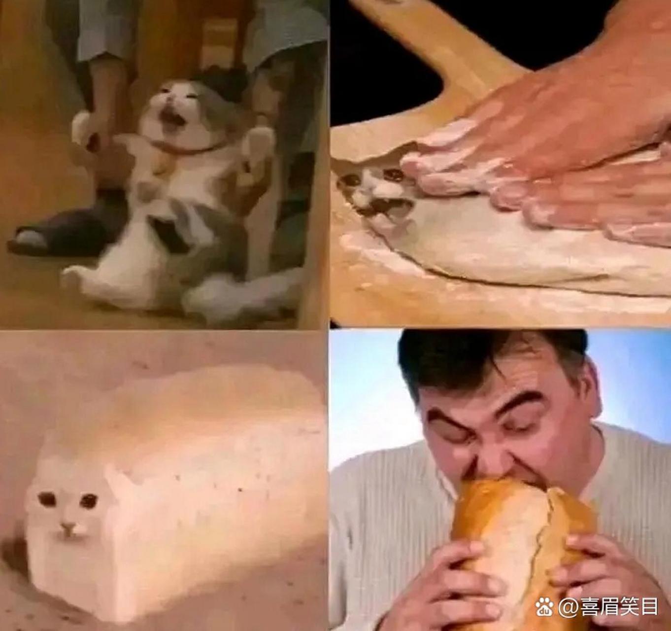 将猫咪变成面包,更加可口可爱.