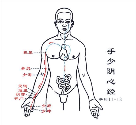 图走向手少阴手少阴心经路线图心经走向经络图手少阴心经准确位置图