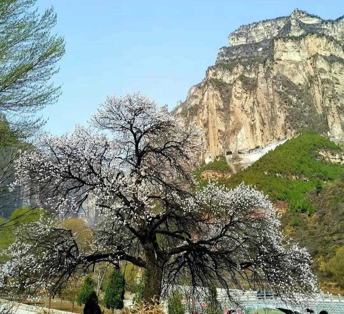 林州鲁班豁很多人不知道从哪里上去,其实在林州太行山森林运动公园修