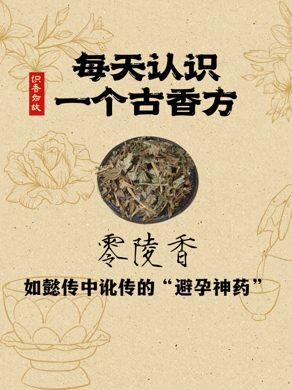 零陵香豆气味图片