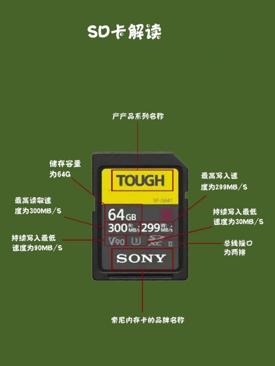 雷克沙和闪迪图片