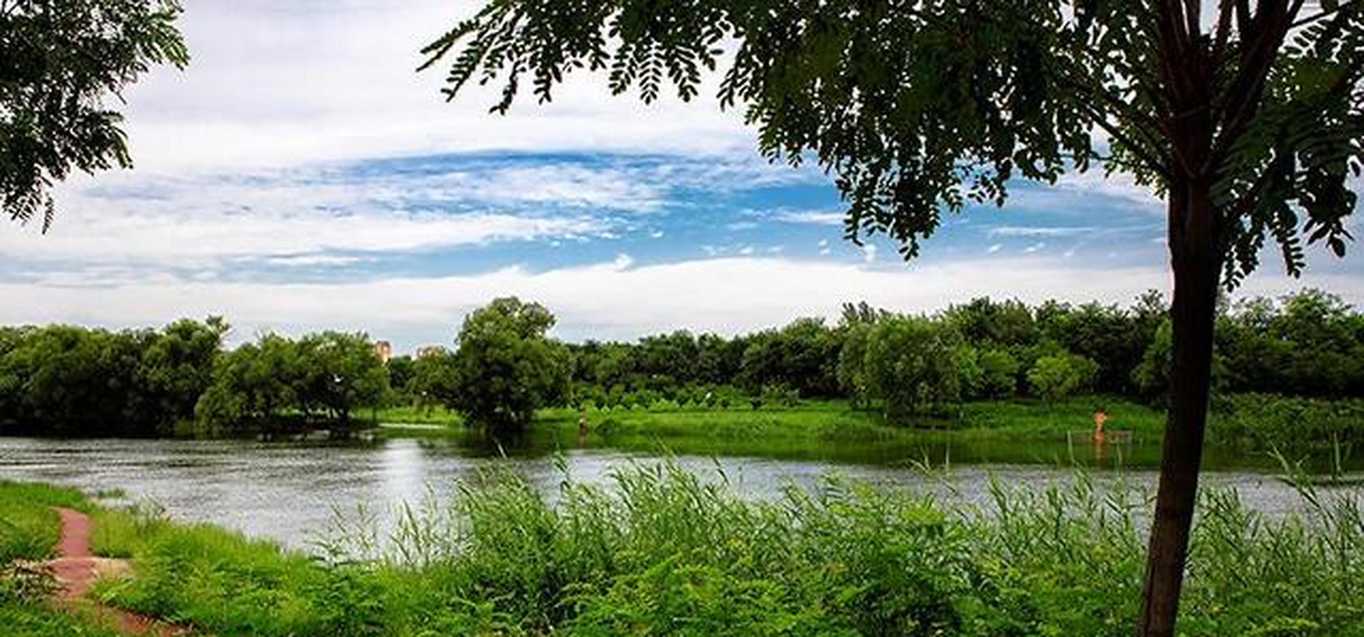 天津市蓟州区州河国家湿地公园[再见]