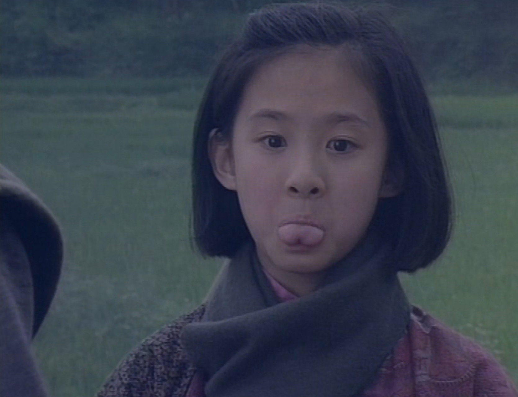 戴梦梦,翁虹的干女儿,电视剧《精武门》里陈真的妹妹.