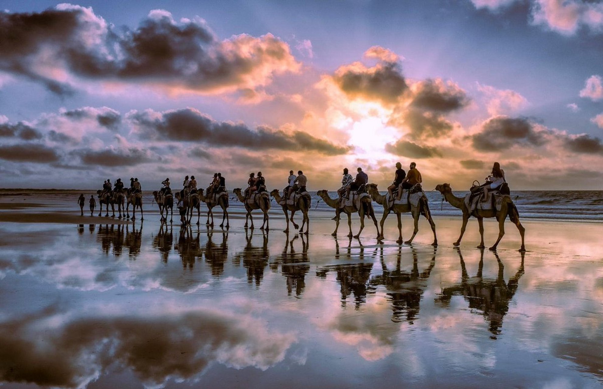 camel shadows on cable beach in broome 凯布尔海滩的骆驼队,西