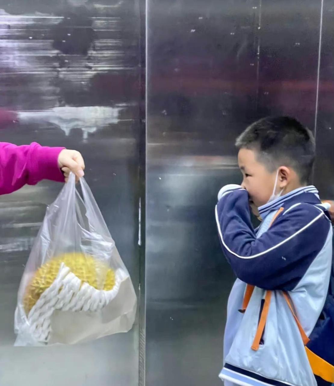 住在楼上的坏姐姐