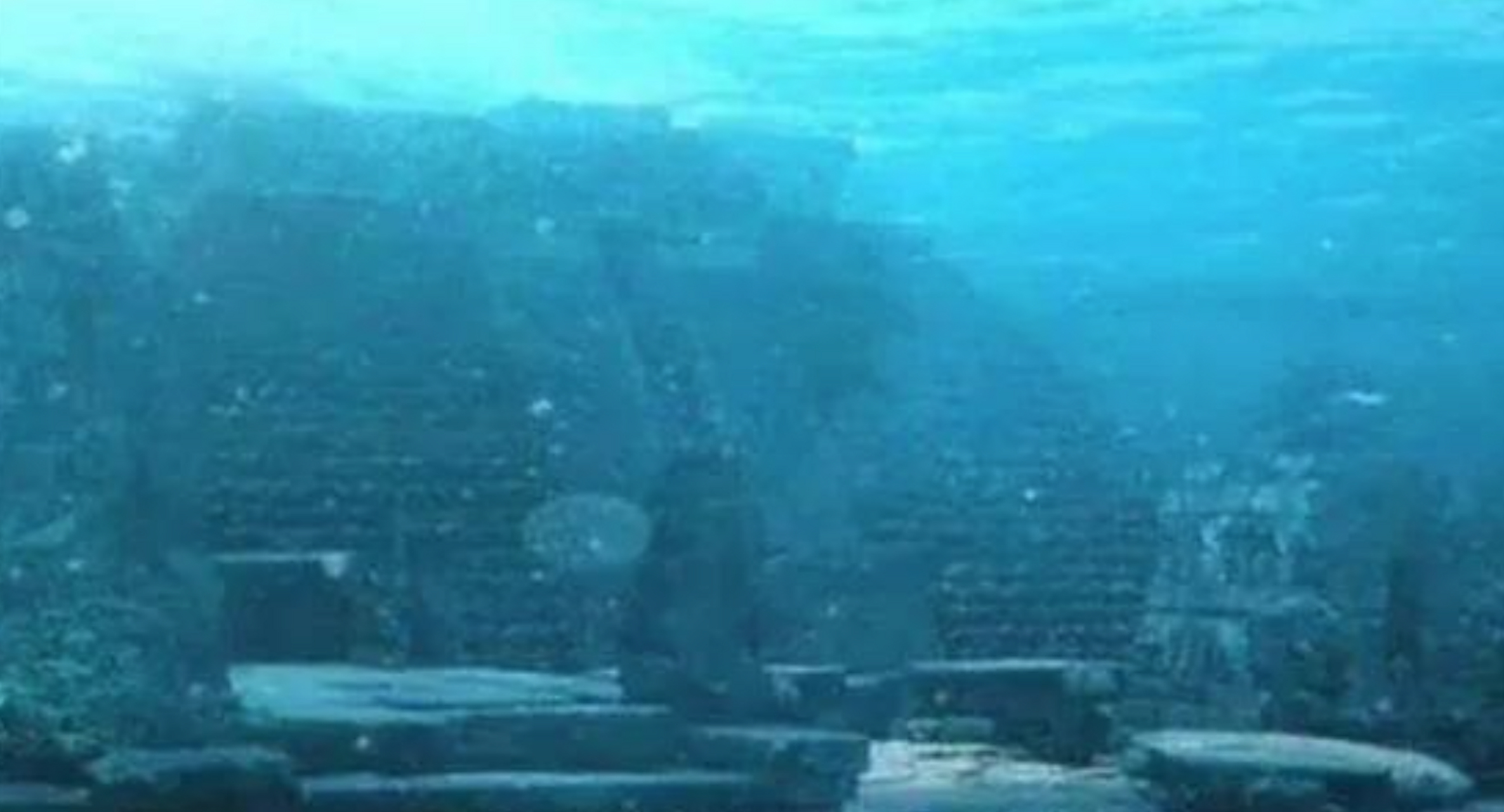 美法等国的科学家在神秘的百慕大三角洲,发现了人类从未发现过的海底