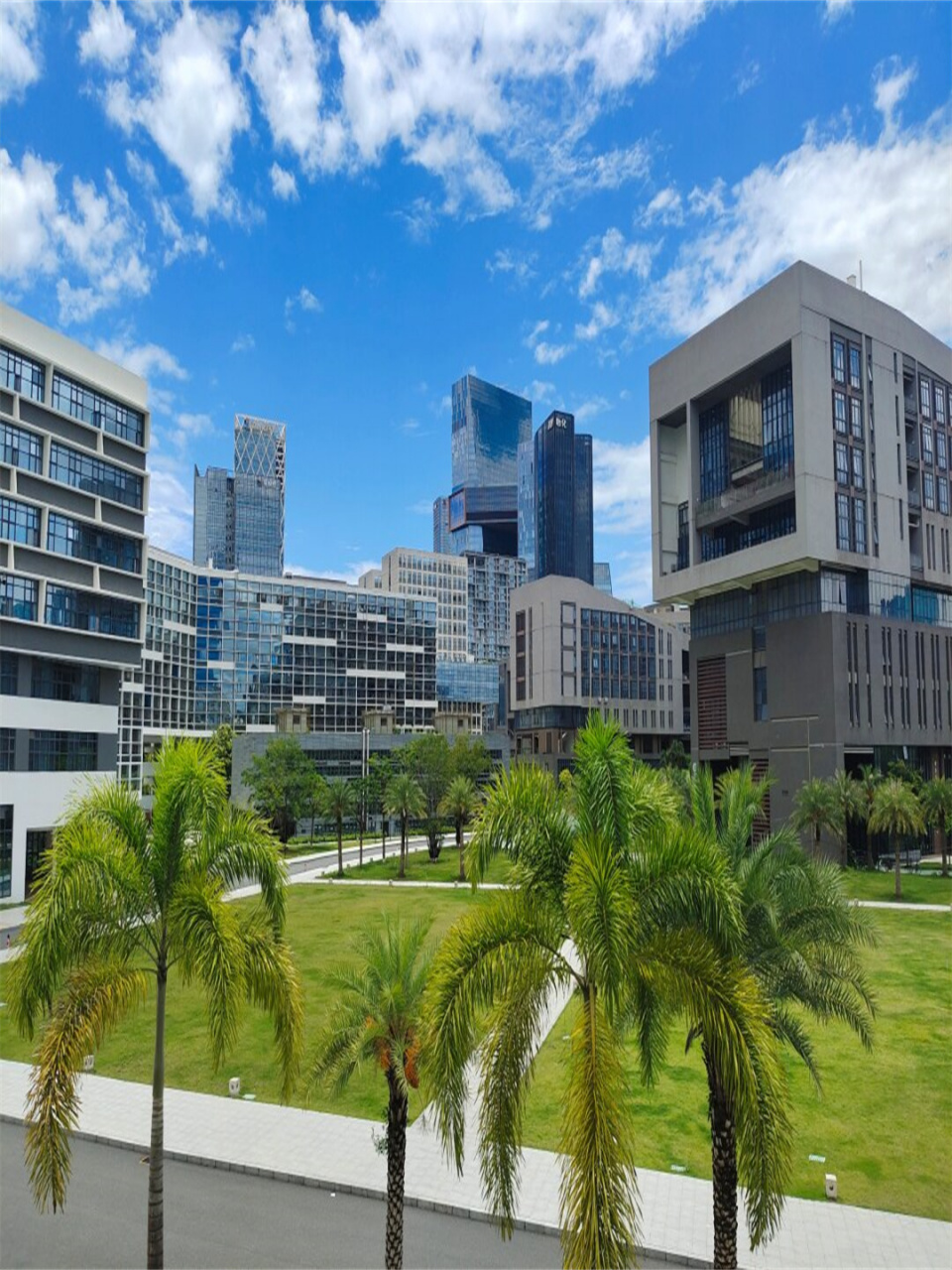 被深大的美治愈到了  走进深大,你会被这里的美景所吸引.