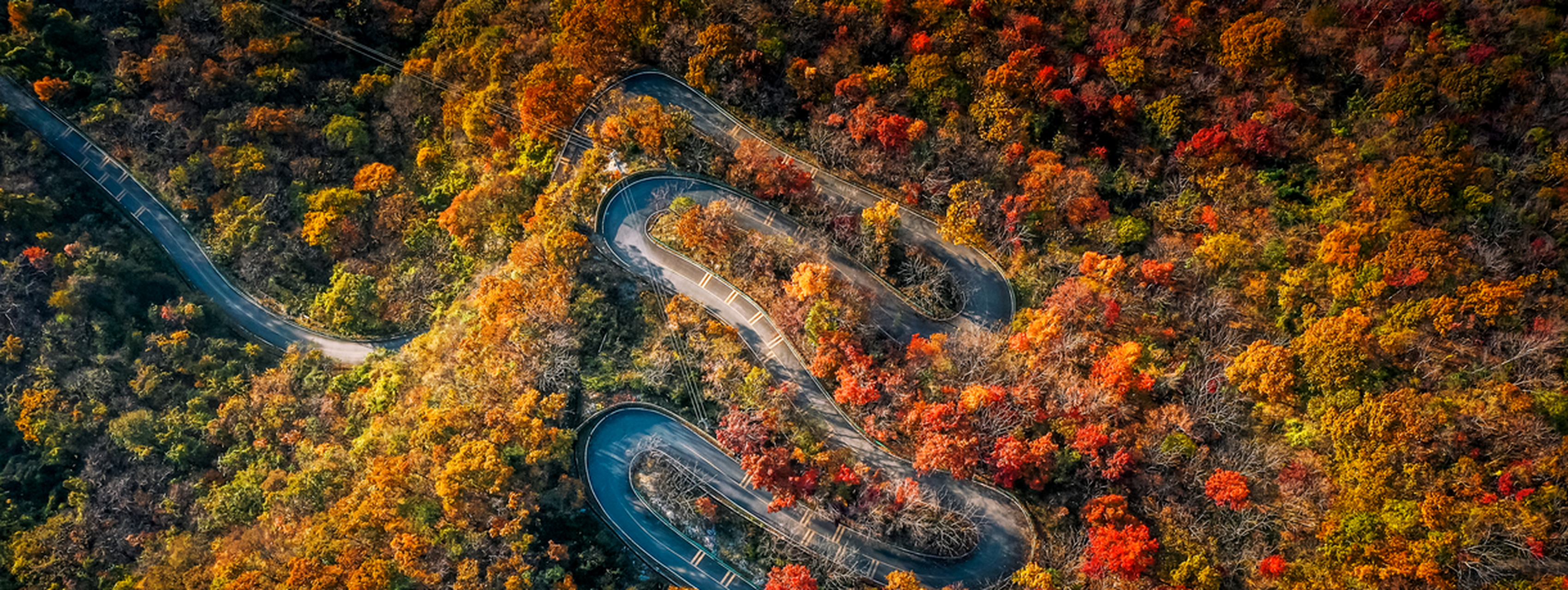 随州大洪山风景区图片图片