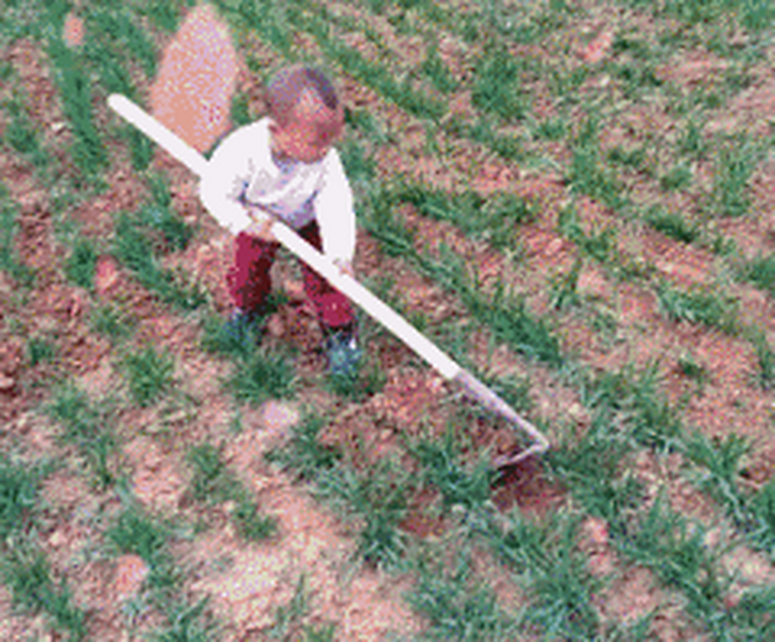 搞笑gif动图:第一张 小鹿,你不要过来啊