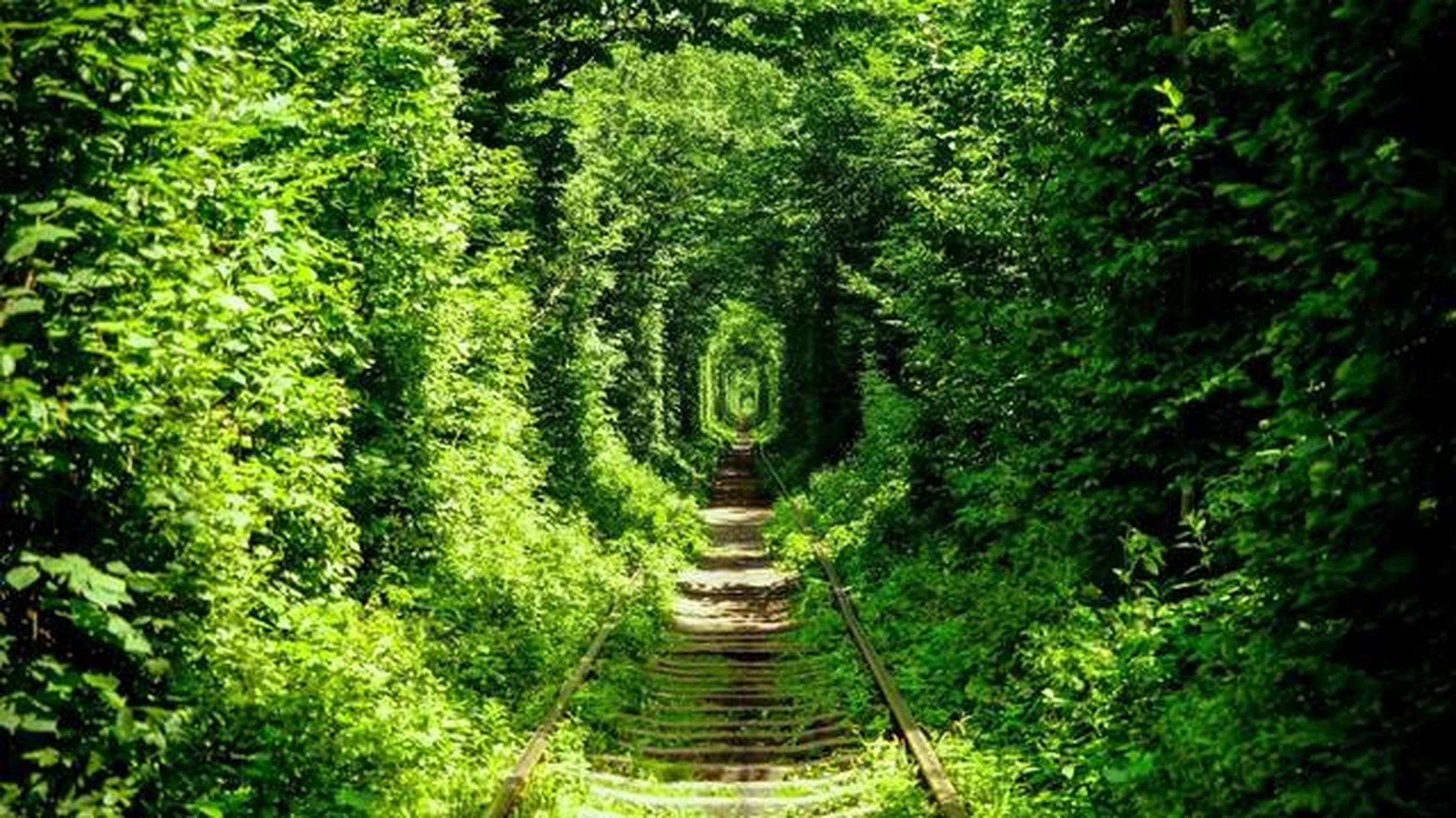 光谷爱情隧道,位于武汉市洪山区,整个隧道全长30米,底部是由各种小