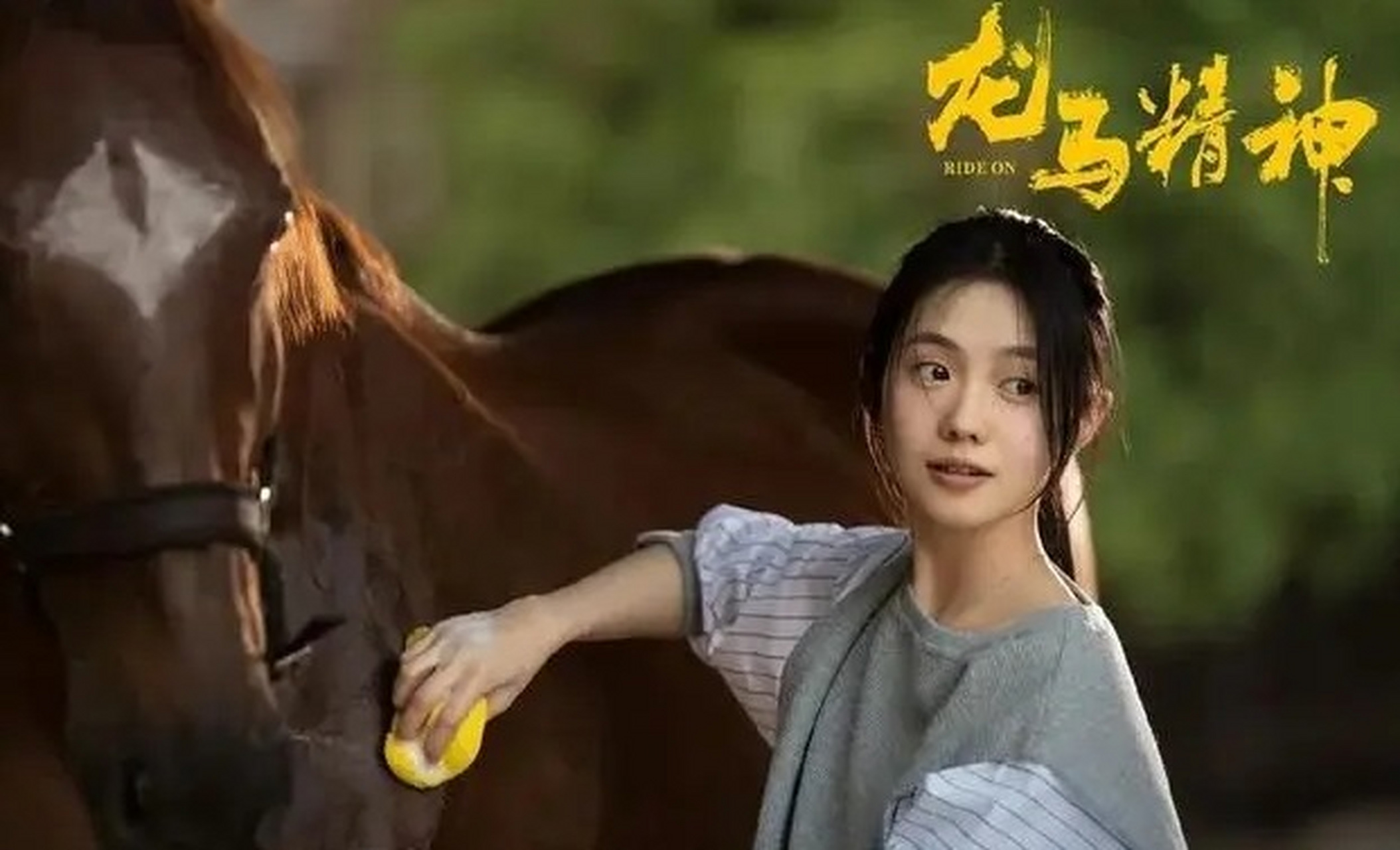 《龙马精神》上映票房不到5千万,成龙被刘浩存坑惨了  在经历过定档