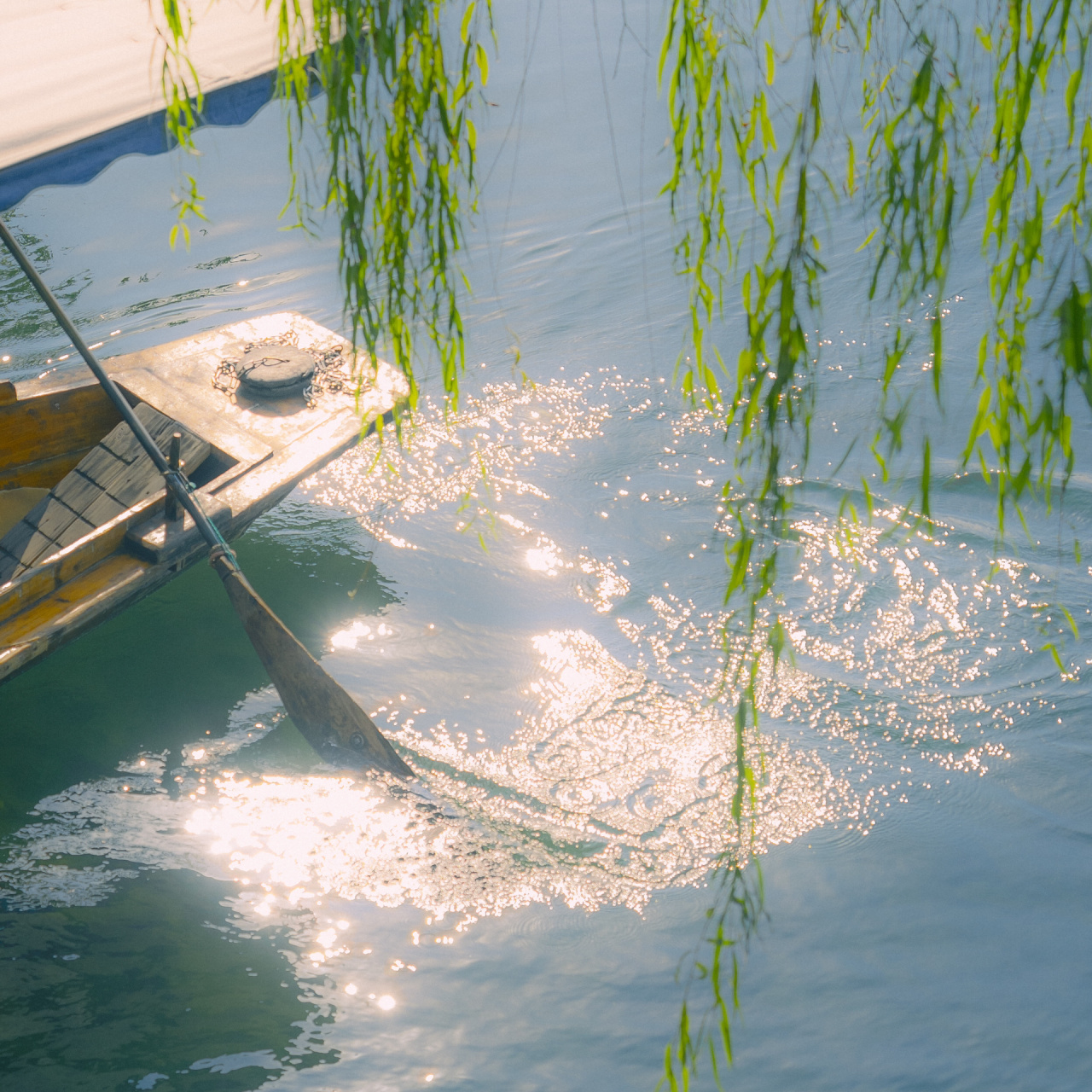远处的小船越来越近 船桨拨动着湖面激起涟漪 在阳光下波光粼粼的 绘
